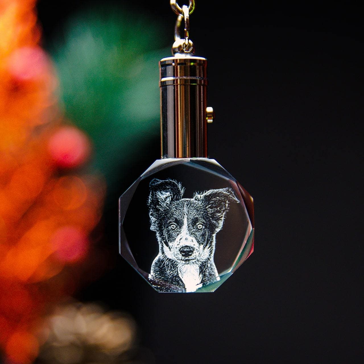 Pet Keychain